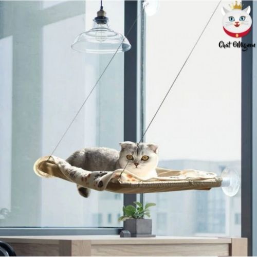 Hamac fenêtre - chat 6mignon