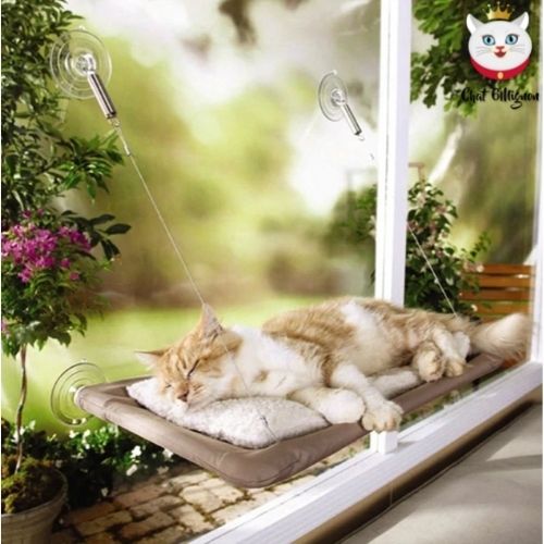 Hamac fenêtre - chat 6mignon