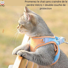 Charger l&#39;image dans la galerie, CatHarness - Harnais pour Chat réglable - chat 6mignon
